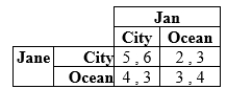 Jane and Jan are deciding whether to reserve a vacation room with a city view or an ocean view. Their payoffs in terms of their happiness are as follows. a. What are the pure-strategy Nash equilibria if any? b. What is the mixed-strategy Nash equilibrium?