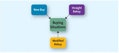 A flow chart representing business-to-business buying situations -A paint company conducted a market survey to find products that could improve the shelf-life of its products.It chose a solution from a particular vendor after it did a detailed evaluation of the vendor's product.This is an example of a: