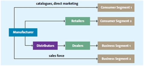 A flow chart representing multichannel distribution -Jake walks into a store that has many cellphone brands and buys a phone for his personal use.Which of the following segments does Jake belong to?