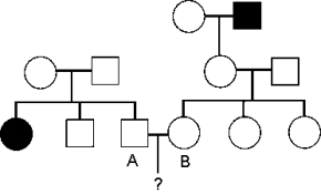 <strong>The following pedigree concerns the autosomal recessive disease phenylketonuria (PKU).The couple marked A and B are contemplating having a baby but are concerned about the baby having PKU.What is the probability of the first child having PKU? Unless you have evidence to the contrary,assume that a person marrying into the pedigree (i.e.,not a descendant of the two parents at the top of the pedigree)is not a carrier.The filled-in individuals have PKU. </strong> A)0 B)1/12 C)1/4 D)3/4 E)9/64