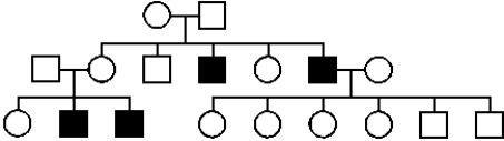 <strong>The following pedigree depicts the inheritance of a rare hereditary disease affecting muscles. What is the most likely mode of inheritance of this disease?</strong> A)autosomal dominant B)autosomal recessive C)X-linked dominant D)X-linked recessive E)Y-linked