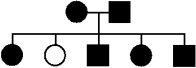 <strong>The following pedigree shows the inheritance of attached earlobes (black symbols)and unattached earlobes (white symbol).Both alternative phenotypes are quite common in human populations. If the phenotypes are determined by alleles of one gene,then attached earlobes are inherited as:</strong> A)an autosomal dominant trait. B)an autosomal recessive trait. C)a dominant trait that could be either autosomal or X-linked. D)a recessive trait that could be either autosomal or X-linked. E)an X-linked dominant trait.