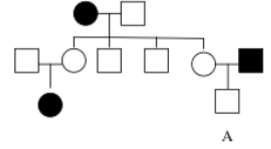 <strong>What is the probability that individual A is a heterozygous with respect to the condition depicted in the pedigree? </strong> A)0% B)25% C)50% D)75% E)100%