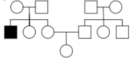 <strong>What is the most likely mode of inheritance of the exceptionally rare condition represented in the pedigree below,and why? </strong> A)impossible to determine,because the condition is so rare B)recessive,because it is only present in one generation,but we do not have enough information to tell whether it's X-linked or autosomal C)recessive,because unaffected parents have an unaffected child,and autosomal,because there are more autosomes than there are X chromosomes D)X-linked recessive,because this would require the smallest number of rare alleles in the pedigree E)X-linked recessive,because it only affects a male,and his parents are unaffected