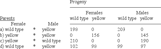 Wild-type Drosophila melanogaster have a brown/grey body color.Mutants exist that have a yellow body color.Several crosses were performed between phenotypically wild type and yellow individuals,and the results of each cross are reported in the table below. Deduce the mode of inheritance of the yellow body phenotype and genotypes of the parents and offspring in the following crosses.