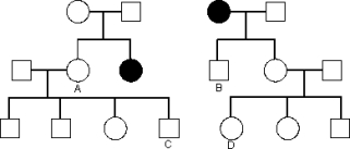 Consider the following pedigree of a rare autosomal recessive disease.Assume all people marrying into the pedigree do not carry the abnormal allele. a)If individuals A and B have a child,what is the probability that the child will have the disease? b)If individuals C and D have a child,what is the probability that the child will have the disease? c)If the first child of C * D is normal,what is the probability that their second child will have the disease? d)If the first child of C * D has the disease,what is the probability that their second child will have the disease?
