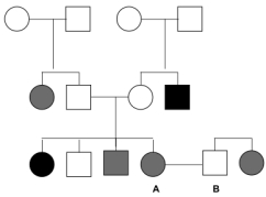 <strong>The pedigree below shows the inheritance patterns of two extremely rare,independent genetic conditions (represented with black and grey symbols,respectively).If individuals A and B have a child,what is the probability that it will have both conditions? </strong> A)1/16 B)1/9 C)1/4 D)1/3 E)4/9