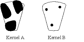 Transposable elements can cause corn kernels to be spotted if they jump in or out of the color genes during the development of the kernel.However,the size of the spots can vary greatly.In words and diagrams,describe the difference between the two kernels shown below at the molecular and developmental levels.