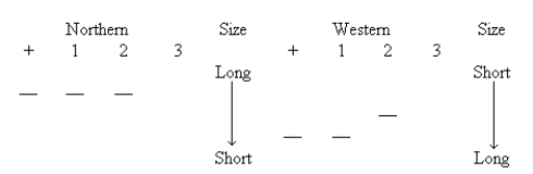 Three mutations were obtained in a bacterial gene.An antibody is available for the protein product of this gene.Both Northern analysis (RNA separated by electrophoresis,blotted,and probed with DNA)and Western analysis (proteins separated by electrophoresis,blotted,and probed with antibodies)were performed on the mutants.The results are summarized below. For each mutation,what kind of mutation occurred and how do you know it? a)Mutant 1 b)Mutant 2 c)Mutant 3
