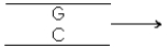 5-Bromouracil is an analog of thymine that normally pairs with adenine.Its rare tautomeric form pairs with adenine.Show the steps (i.e.,several replications)by which 5-bromouracil causes the GC base pair shown below to change to an AT base pair.Show the point at which the rare tautomeric form of 5-bromouracil occurs.Show both products of all divisions in which 5-bromouracil is involved.Do not show chemical structures.