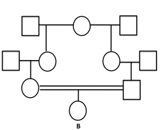 <strong>What is the inbreeding coefficient for individual B in the following pedigree? </strong> A)1/8 B)1/16 C)1/32 D)1/64 E)1/256