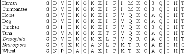 Assume that the following amino acid sequences were obtained for a highly conserved gene,gene X,in eukaryotes.Using this information,determine the most probable ancestral amino acid sequence.
