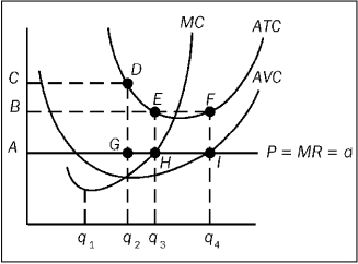 Figure 9-19 -Refer to Figure 9-19. Given the current market conditions, in the long run,