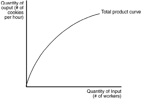Figure 12-4 -Refer to Figure 12-4. With regard to cookie production, the figure implies