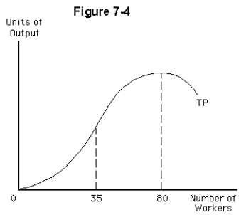 <strong> In Figure 7-4,marginal product of labor is negative for levels of employment</strong> A) between 0 and 80 workers B) equal to 35 workers C) between 35 and 80 workers D) greater than 80 workers E) none of the above