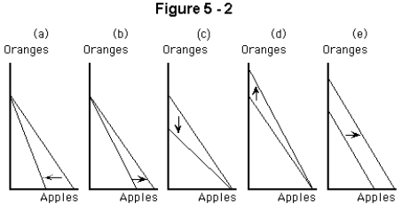 <strong> Which panel in Figure 6-2 shows the effect of an increase in income,other things constant?</strong> A) panel a B) panel b C) panel c D) panel d E) panel e