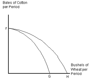 <strong>  Assume that U.S.agricultural land is used either to raise cotton for clothing or to grow wheat.Curve FG in Figure 2-8 represents the current production possibilities frontier for cotton and wheat.What could cause the production possibilities frontier to shift from FG to FH?</strong> A) a change in government subsidies that favors wheat production over cotton production B) development of a new fertilizer that improves production of wheat,but has no impact on cotton production C) development of a new fertilizer that improves production of cotton,but has no impact on wheat production D) newly reclaimed swampland that is equally suited to growing either crop E) newly reclaimed swampland that can be used to grow either crop,but is better suited to growing wheat <div style=padding-top: 35px> 