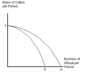 <strong>Figure 2-8 Assume that U.S.agricultural land is used either to raise cotton for clothing or to grow wheat.Curve FG in Figure 2-8 represents the current production possibilities frontier for cotton and wheat.What could cause the production possibilities frontier to shift from FG to FH?</strong> A)a change in government subsidies that favors wheat production over cotton production B)development of a new fertilizer that improves production of wheat,but has no impact on cotton production C)development of a new fertilizer that improves production of cotton,but has no impact on wheat production D)newly reclaimed swampland that is equally suited to growing either crop E)newly reclaimed swampland that can be used to grow either crop,but is better suited to growing wheat
