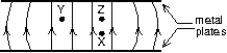 <strong>The diagram shows the electric field lines due to two charged parallel metal plates. We conclude that: </strong> A) the upper plate is positive and the lower plate is negative B) a proton charge at X would experience the same force if it were placed at Y C) a proton charge at X experiences a greater force than if it were placed at Z D) a proton charge at X experiences less force than if it were placed at Z E) a electron charge at X could have its weight balanced by the electrical force