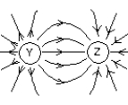 <strong>The diagram shows the electric field lines in a region of space containing two small charged spheres (Y and Z). Then: </strong> A) Y is negative and Z is positive B) the magnitude of the electric filed is the same everywhere C) the electric field is strongest midway between Y and Z D) Y is positive and Z is negative E) Y and Z must have the same sign
