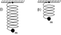 <strong>A simple harmonic oscillator consists of a mass m and an ideal spring with spring constant k. The particle oscillates as shown in (i) with period T. If the spring is cut in half and used with the same particle, as shown in (ii), the period will be: </strong> A) 2T B) C) D) T E) T/2