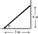 <strong>An 80-N uniform plank leans against a frictionless wall as shown. The torque (about point P) applied to the plank by the wall is: </strong> A) 40 N.m B) 60 N.m C) 120 N.m D) 160 N.m E) 240 N.m