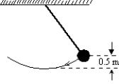 <strong>The long pendulum shown is drawn aside until the ball has risen 0.5 m. It is then given an initial speed of 3.0 m/s.. The speed of the ball at its lowest position is: </strong> A) zero B) 0.89 m/s C) 3.1 m/s D) 3.7 m/s E) 4.3 m/s