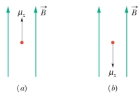 The figure shows two different orientations of a proton in a magnetic field. Which orientation is at higher energy?