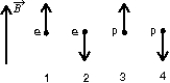 The diagram shows the spin angular momentum vectors of two electrons and two protons in the same external magnetic field. The field points upward in the diagram. Rank the situations according to the potential energy, least to greatest.