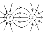 <strong>The diagram shows the electric field lines in a region of space containing two small charged spheres (Y and Z). Then: </strong> A) Y is negative and Z is positive B) the magnitude of the electric filed is the same everywhere C) the electric field is strongest midway between Y and Z D) Y is positive and Z is negative E) Y and Z must have the same sign