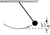 <strong>The long pendulum shown is drawn aside until the ball has risen 0.5 m. It is then given an initial speed of 3.0 m/s. The speed of the ball at its lowest position is: </strong> A) 0 m/s B) 0.89 m/s C) 3.1 m/s D) 3.7 m/s E) 4.3 m/s