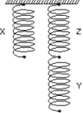 <strong>Three identical springs (X, Y, Z) are arranged as shown. When a 4.0-kg mass is hung on X, the mass descends 3.0 cm. When a 6.0-kg mass is hung on Y, the mass descends: </strong> A) 2.0 cm B) 4.0 cm C) 4.5 cm D) 6.0 cm E) 9.0 cm