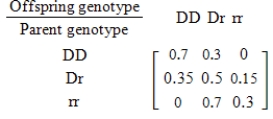 For species that reproduce sexually, characteristics are determined by a gene from each parent. Suppose that for a certain trait there are two possible genes available from each parent: a dominant gene D and a recessive gene r. Then the different gene combinations (called genotypes) for the offspring are DD, Dr, rD, and rr, where Dr and rD produce the same trait. Suppose further that these genotypes are the states of a Markov chain with the transition matrix given below. If the initial occurrence of those genotypes in the population is 0.1 for DD, 0.2 for Dr, and 0.7 for rr, find the distribution (probability) of each type of the second generation of offspring. Round all numerical values in your answer to two decimal places. 