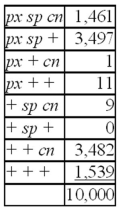 Females heterozygous for the recessive second chromosome mutations pn,px,and sp are mated to a male homozygous for all three mutations.The offspring are as follows: What is the genotype of the females that gave rise to these progeny?