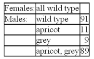 A female mouse from a true-breeding wild-type strain was crossed to a male mouse with apricot eyes (ap)and grey body (gy).The F<sub>1</sub> mice were wild-type for both traits.When the F<sub>1</sub> were interbred,the F<sub>2</sub> were distributed as follows (200 total): Explain these results.
