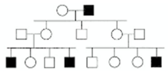 <strong>In the following pedigree,the indicated trait is caused by which type of allele? Assume the trait is fully penetrant and that the trait is rare in the population,so that alleles for the trait are not carried by anyone who is not the progeny of a mating shown in the pedigree.  </strong> A) autosomal recessive B) autosomal dominant C) X-linked recessive D) X-linked dominant E) Y-linked <div style=padding-top: 35px> 