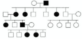 <strong>In the following pedigree,the indicated trait is caused by which type of allele? Assume the trait is fully penetrant and that the trait is rare in the population,so that alleles for the trait are not carried by anyone who is not the progeny of a mating shown in the pedigree.  </strong> A) autosomal recessive B) Y-linked dominant C) X-linked recessive D) X-linked dominant E) Y-linked recessive <div style=padding-top: 35px> 