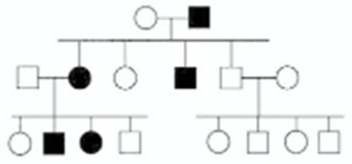 <strong>In the following pedigree,the indicated trait is caused by which type of allele? Assume the trait is fully penetrant and that the trait is rare in the population,so that alleles for the trait are not carried by anyone who is not the progeny of a mating shown in the pedigree.  </strong> A) autosomal recessive B) autosomal dominant C) X-linked recessive D) X-linked dominant E) Y-linked <div style=padding-top: 35px> 