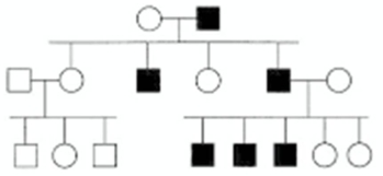<strong>In the following pedigree,the indicated trait is caused by what type of allele? Assume the trait is fully penetrant and that the trait is rare in the population,so that alleles for the trait are not carried by anyone who is not the progeny of a mating shown in the pedigree.  </strong> A) autosomal recessive B) autosomal dominant C) X-linked recessive D) X-linked dominant E) Y-linked <div style=padding-top: 35px> 