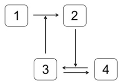 <strong>Which system is most likely to produce the stimulus-response curve shown here? In the systems shown below,the concentration of molecule 3 represents the stimulus,and the concentration of molecule 2 is the response.Molecule 1 is a substrate of molecule 3.Molecule 4 is an inactive form of molecule 3.Molecule 2 activates molecule 5.</strong> A) B) C) D) E)