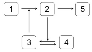<strong>Which system is most likely to produce the stimulus-response curve shown here? In the systems shown below,the concentration of molecule 3 represents the stimulus,and the concentration of molecule 2 is the response.Molecule 1 is a substrate of molecule 3.Molecule 4 is an inactive form of molecule 3.Molecule 2 activates molecule 5.</strong> A) B) C) D) E)