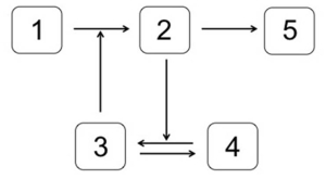 <strong>Which system is most likely to produce the stimulus-response curve shown here? In the systems shown below,the concentration of molecule 3 represents the stimulus,and the concentration of molecule 2 is the response.Molecule 1 is a substrate of molecule 3.Molecule 4 is an inactive form of molecule 3.Molecule 2 activates molecule 5.</strong> A) B) C) D) E)