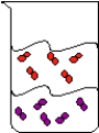 <strong>What can you observe in the following beaker? </strong> A)a pure substance in two phases. B)a heterogeneous mixture C)two compounds in the same phase D)a homogeneous mixture