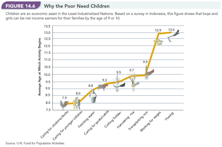 -Based on Figure 14.6,Why the Poor Need Children, what reasons are given by the author that explain why people in poorer countries have so many children?