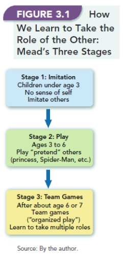-Frank is 10 years old and is an excellent chess player. He is able to anticipate the moves of his opponents before they make them. Based on Figure 3.1,How We Learn to Take the Role of the Other: Mead's Three Stages, Frank is functioning in the ________ stage.