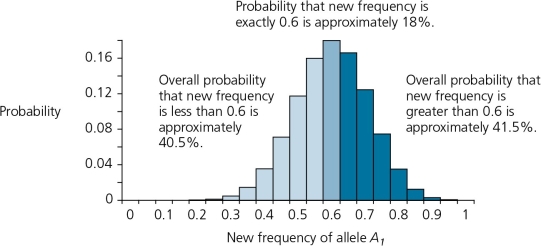 <strong>The accompanying figure details the possible outcomes in a scenario in which 10 zygotes are formed from a gene pool where frequency of the allele A1 is 0.6,and A2 is 0.4.This graph is shown here.According to this graph,the probability that the frequency of A1 will remain the same in the next generation is about ________. </strong> A) 8% B) 12% C) 16% D) 18% E) none of the above