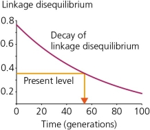 <strong>Certain loci that are in linkage disequilibrium with alleles of interest can be used as markers,which can then be useful in reconstructing the history of those alleles in populations.One such marker/allele is described in your text,where the allele in question has an insertion mutation,rendering an enzyme (glucocerebrosidase,or GBA)nonfunctional.The decay curve for linkage disequilibrium between this marker (named D1S305)and the nonfunctional GBA allele is shown in the accompanying figure.The orange lines show the present level of linkage disequilibrium and the inferred number of generations elapsed since the most recent common ancestor.Assuming an average generation time of 25 years,how many years total will be required for the linkage disequilibrium reach 0.2? </strong> A) about 55 years total B) about 100 years total C) about 1000 years total D) about 2500 years total E) There is insufficient data to make this determination.