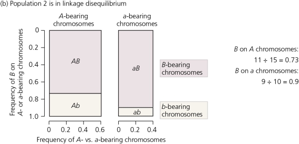 Please refer to the accompanying figures.Is the population in linkage equilibrium or linkage disequilibrium? Explain,drawing on the evidence in the figures.