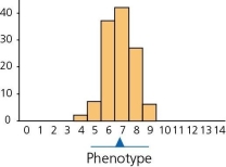 Suppose we consider the figures below.If Figure A represents a measurable trait in a population at time 0,and Figure B represents the same trait some generations later,we can conclude that the type of selection called ________ selection has been at work. Figure A Figure B