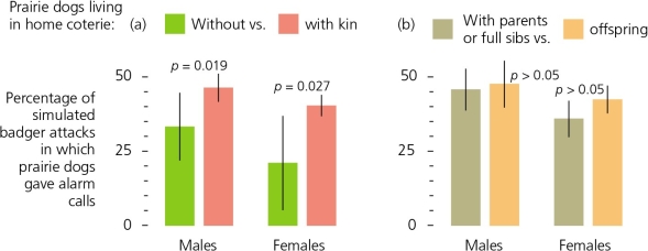<strong>The accompanying figure shows that the rate of alarm calls made by black-tailed prairie dogs is dependent on a perceived threat by a predator.This behavior most closely approximates that predicted by ________. </strong> A) mutual benefit B) selfishness C) altruism D) spite